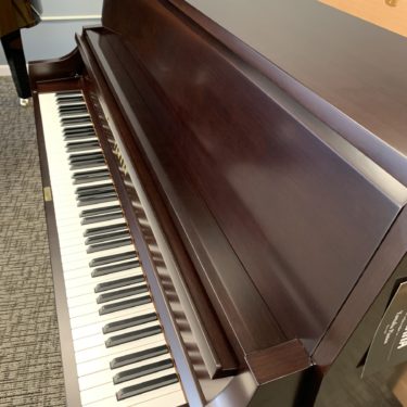 Yamaha P22 D - 45 inch Upright Piano - New 