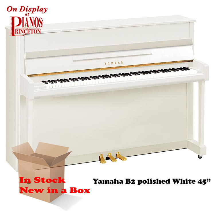 Yamaha b2 PW Polished White