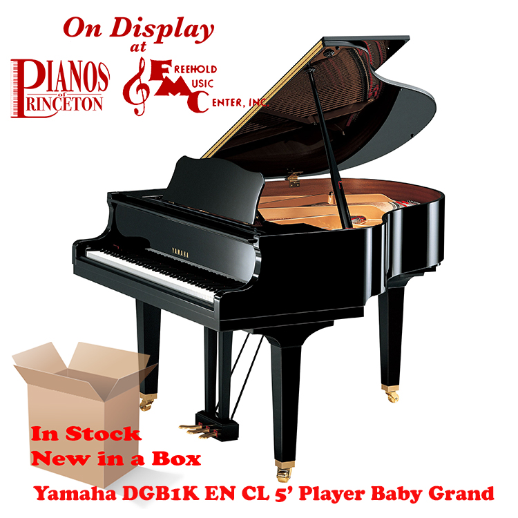 dgb1kencl player piano