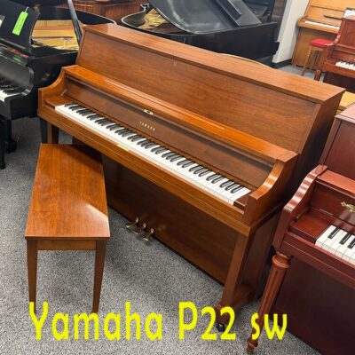 yamaha p22 sw