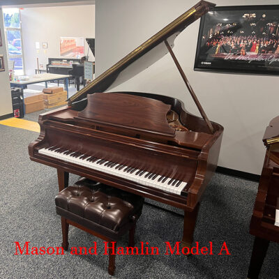 Mason and Hamlin model a