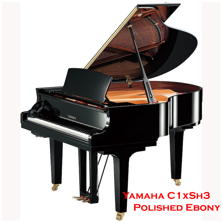 Yamaha C1x SH3 Silent Piano - Freehold Music Center