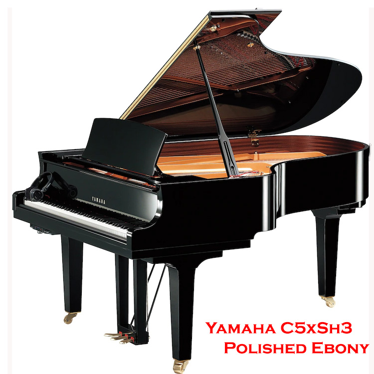 Yamaha C5x SH3 Silent Piano - Freehold Music Center
