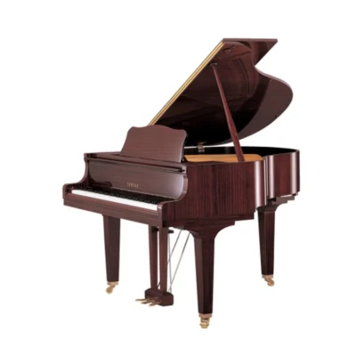 Yamaha GC1M Polished Mahogany – New 5'3"